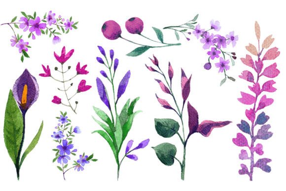 Download Watercolor Flower Elements Set - Watercolor flower elements Collection