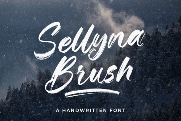 Download Sellyna Brush - Brush Collection
