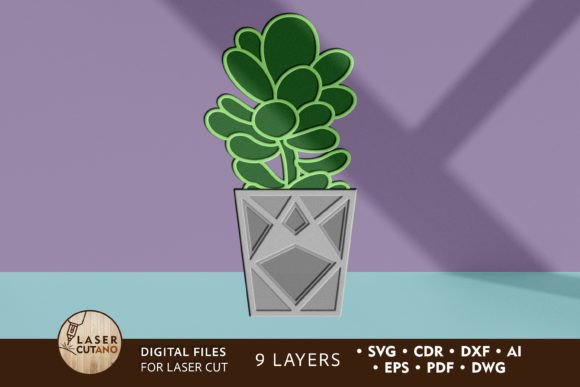 Download Succulent Home Decoration Template - Home decoration Collection