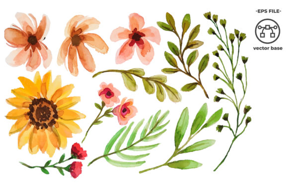 Download Watercolor Flower Elements - Watercolor flower elements Collection